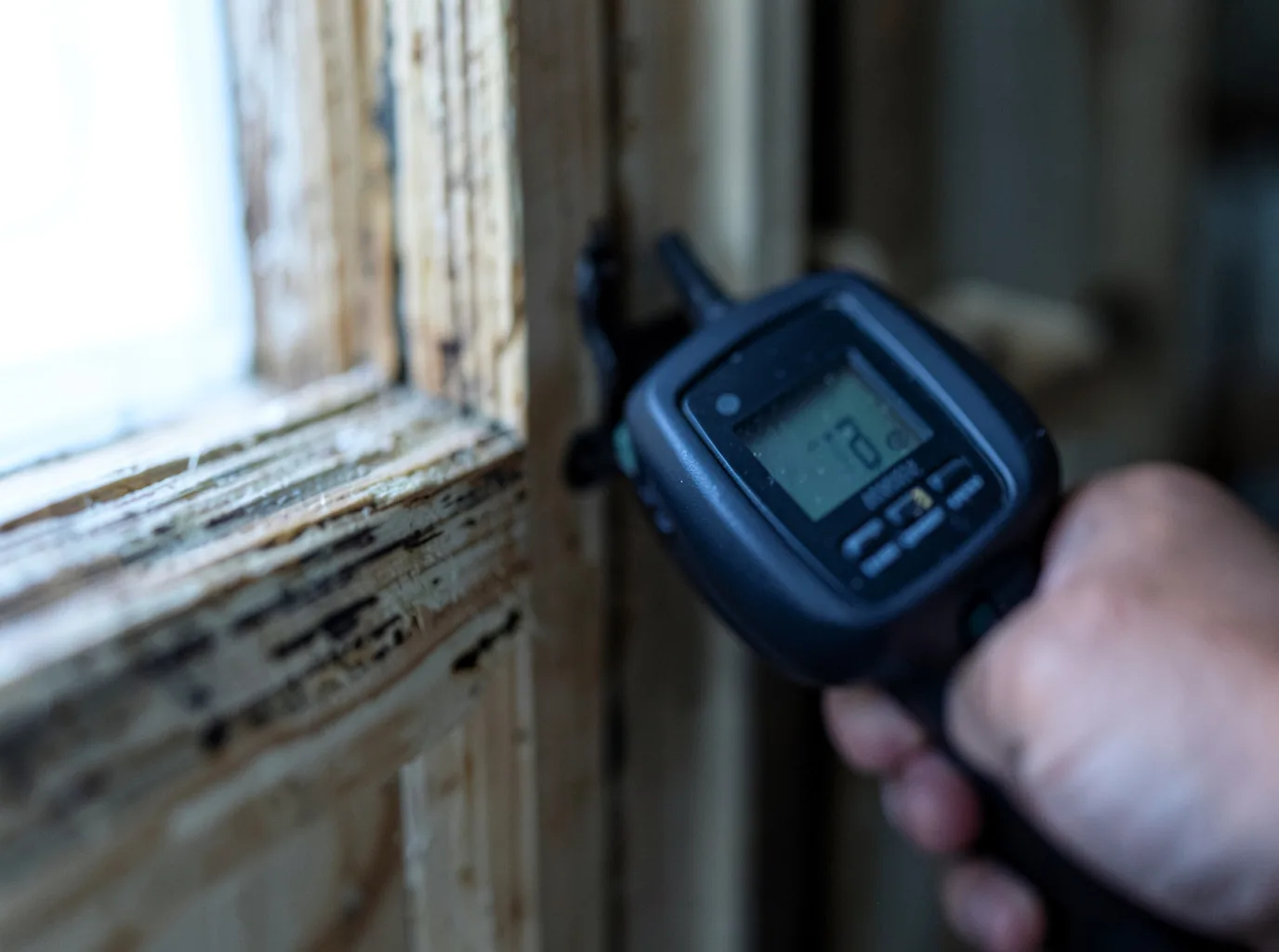 Moisture Inspection And Documentation in Gotham, WI